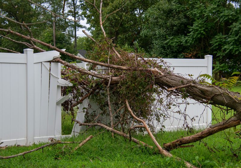 Storm-damaged fence needing repair